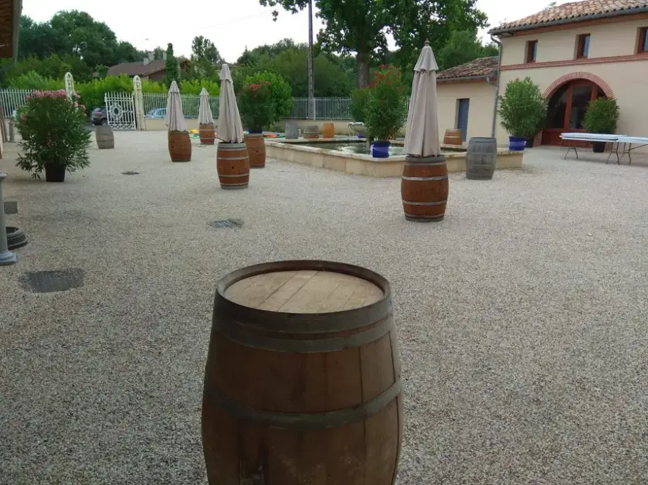 Vignoble Cassin 4