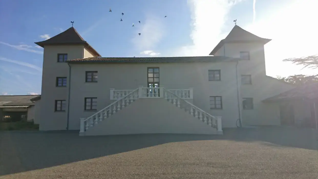 Vignoble Cassin 8