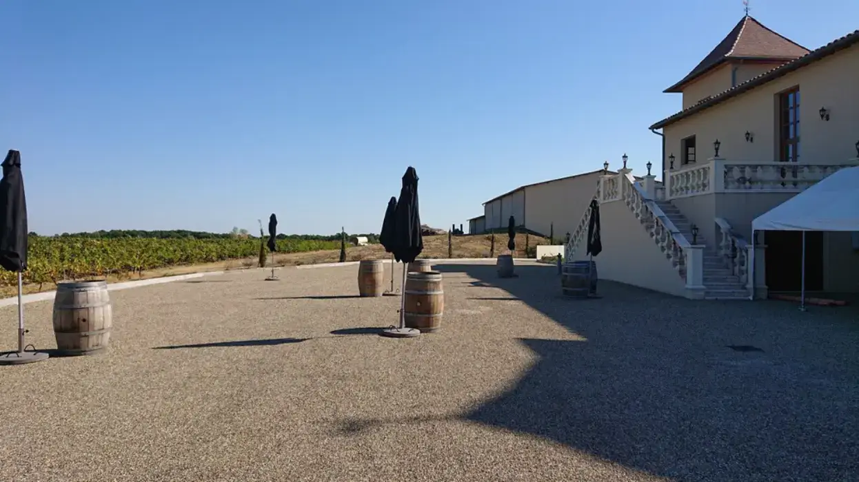 Vignoble Cassin 9