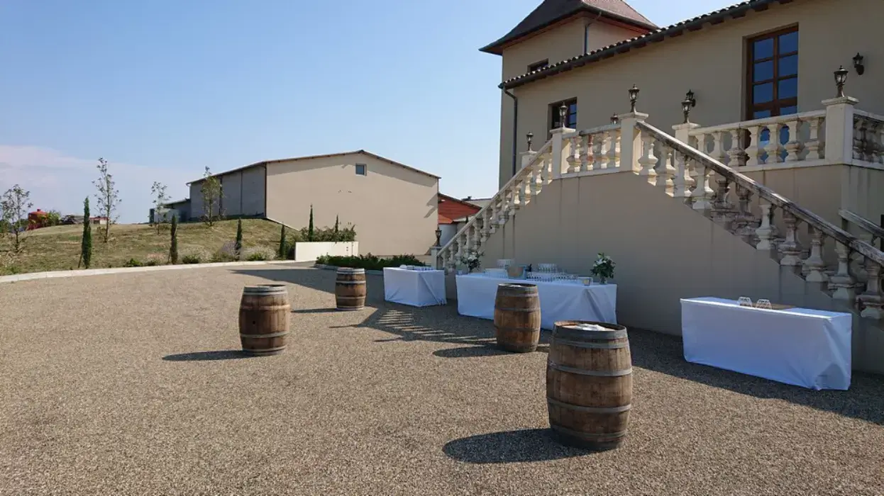Vignoble Cassin 20
