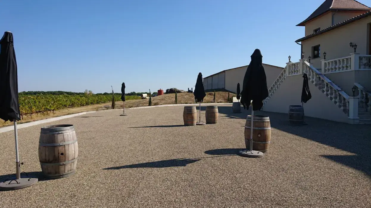 Vignoble Cassin 25