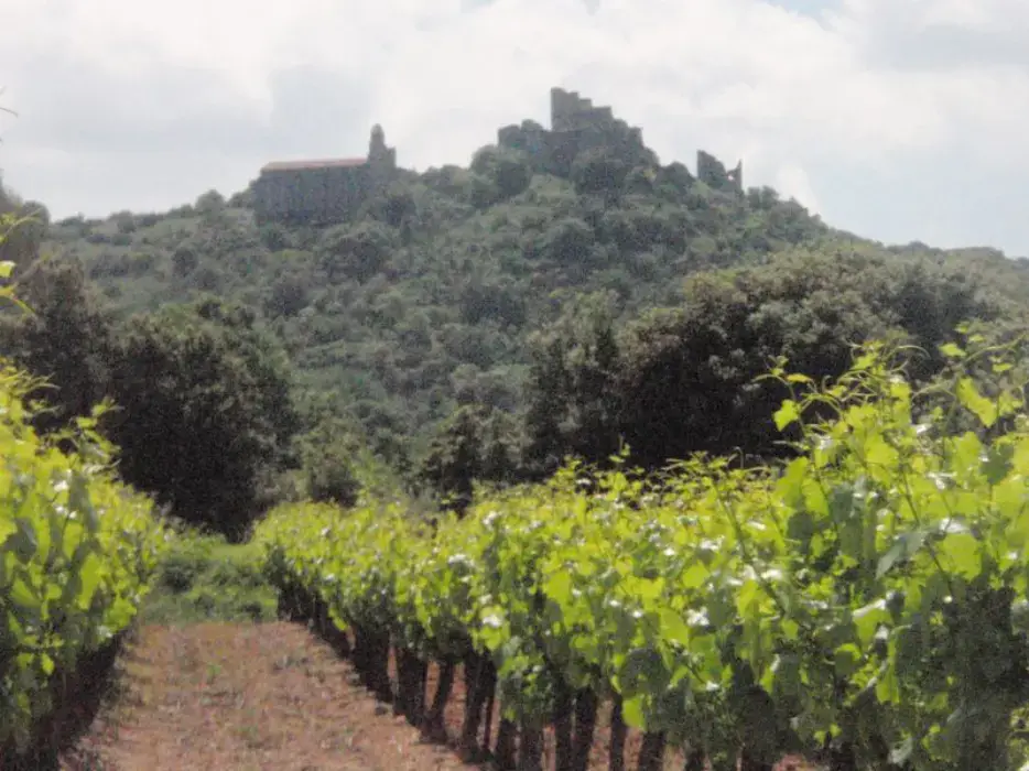 Clos de l'Amandaie 7