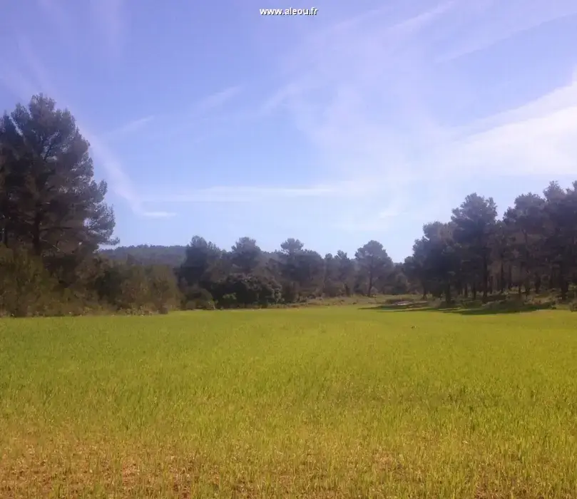 Domaine des Danjean 4