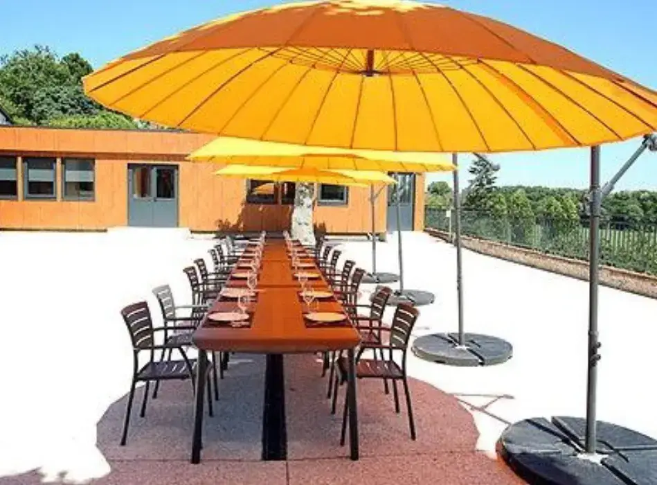 L'Ecole Buissonnière 2