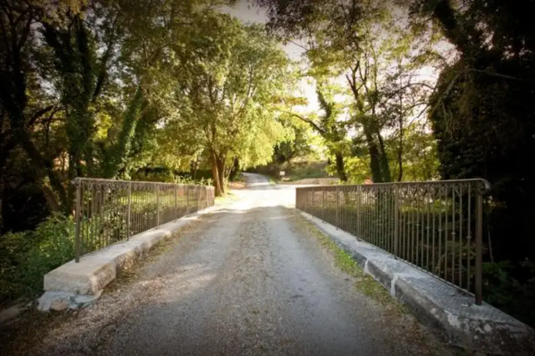 Domaine de Saint Bacchi 11