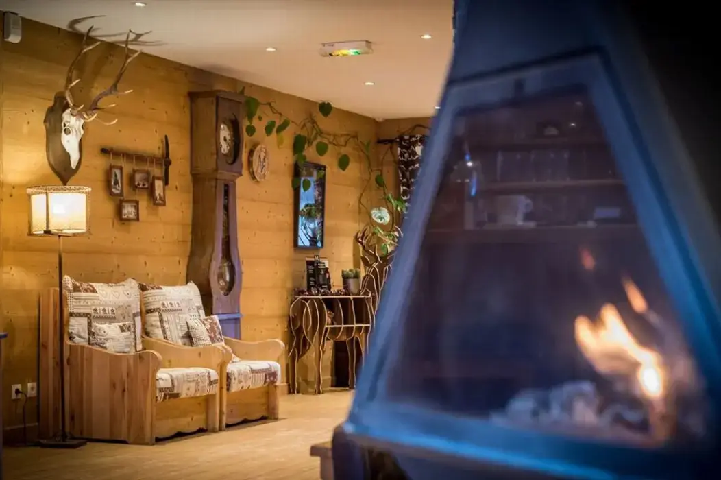 Montana Chalet Hôtel Spa 9