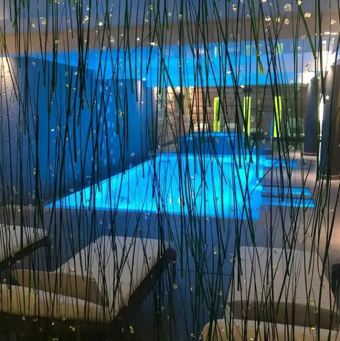 Montana Chalet Hôtel Spa 11