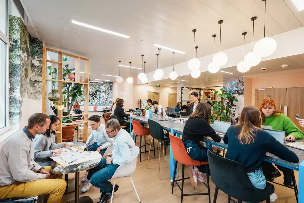 Wojo Paris 8e - Madeleine 8