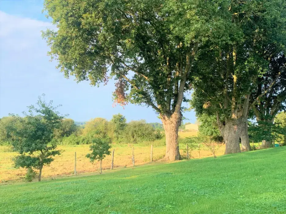 La Mauvillière 12