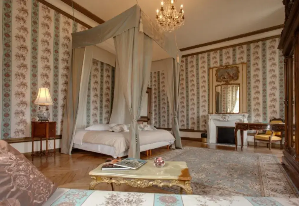 Chateau de la Plaudiere 5