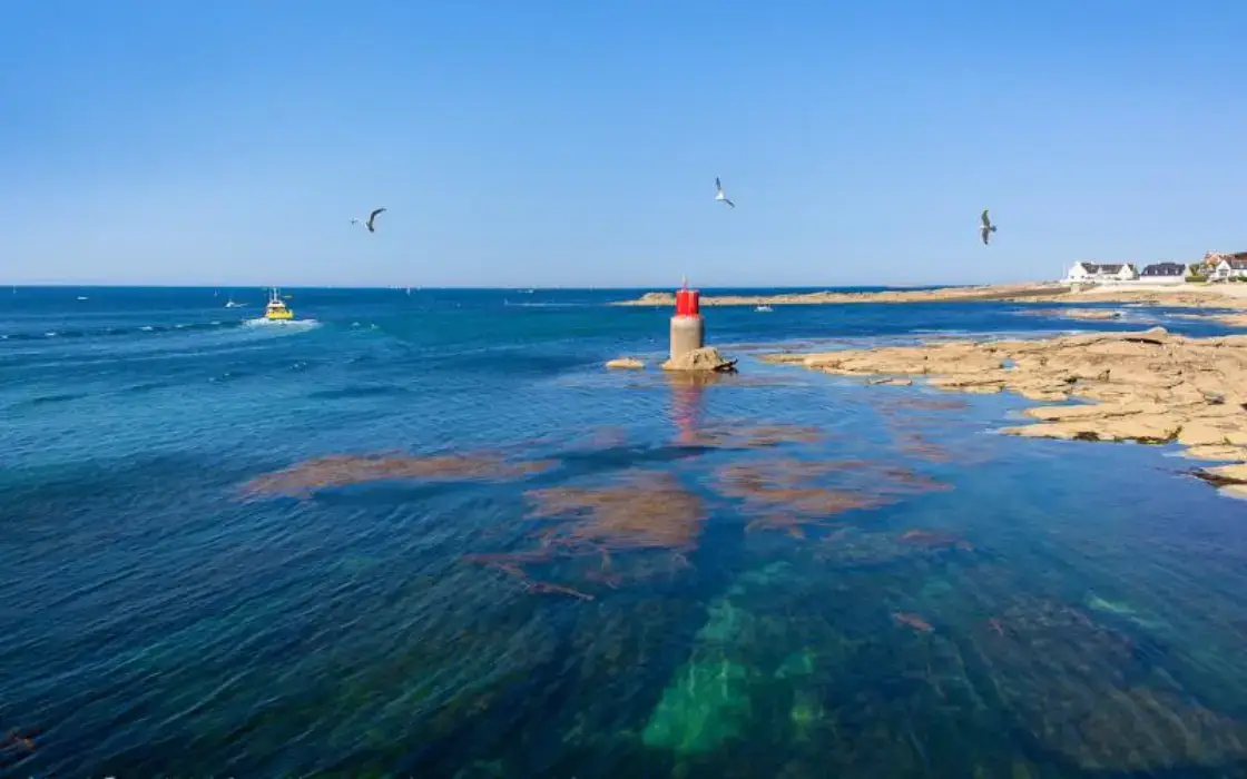 Haliotika - Cité de la Pêche 5