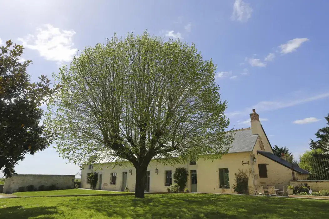 Domaine de la Fouardière 8