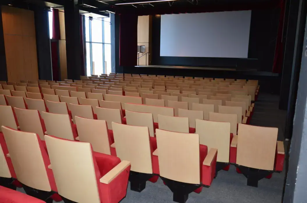 Palais des Arts et des Festivals Dinard 5