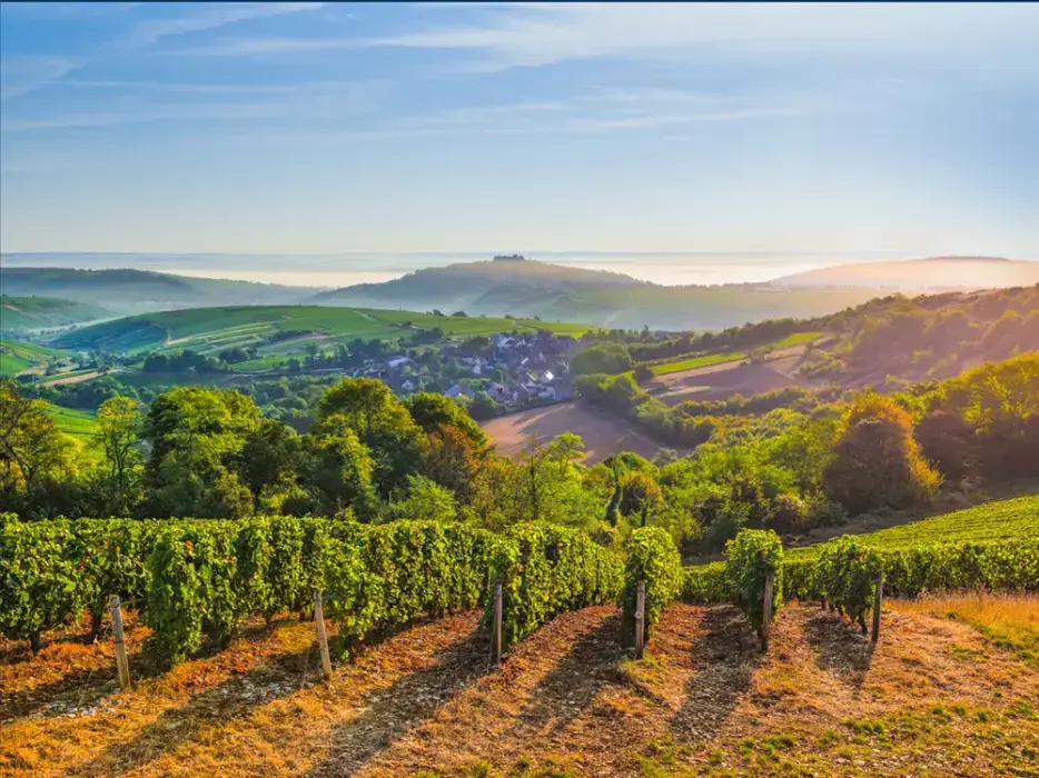 Maison des Sancerre 4