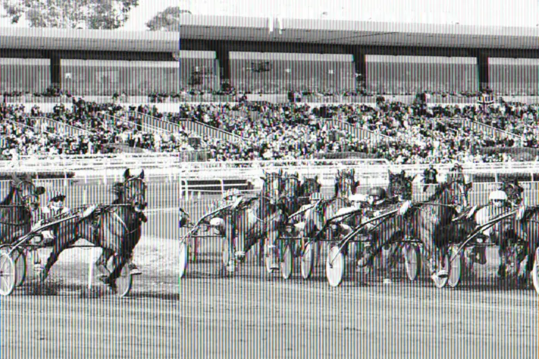 Hippodrome de la Côte d'Azur 8