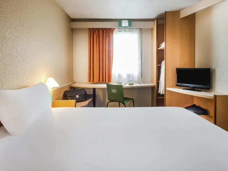 Ibis Niort Marais Poitevin 9