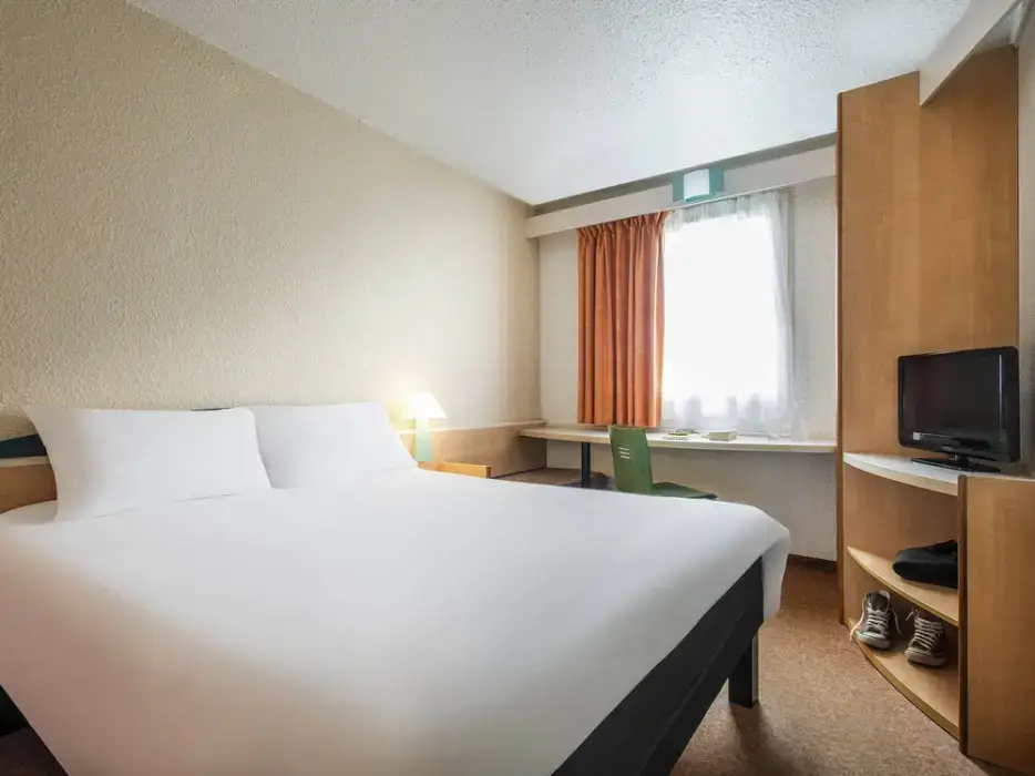 Ibis Niort Marais Poitevin 10