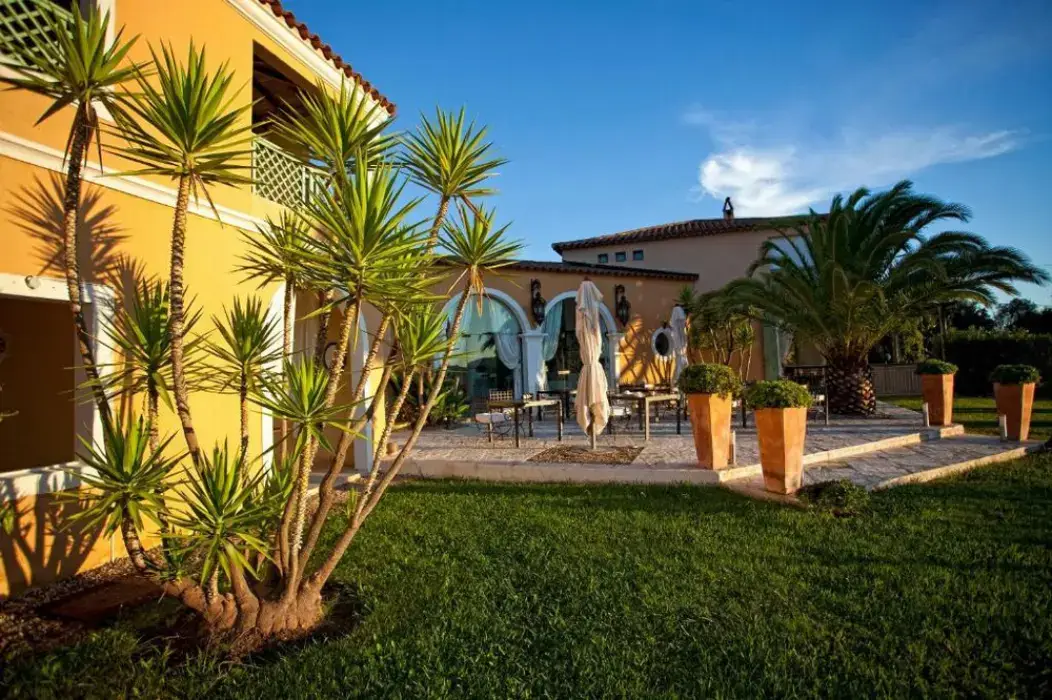 La Vigne de Ramatuelle 2