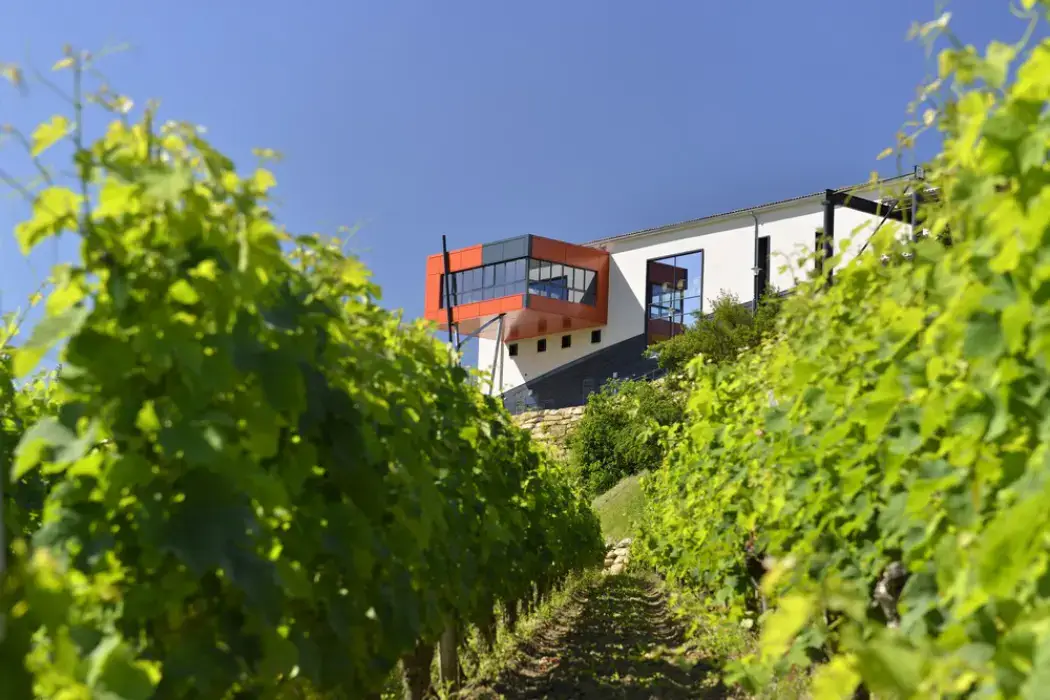 Château La Croizille 2