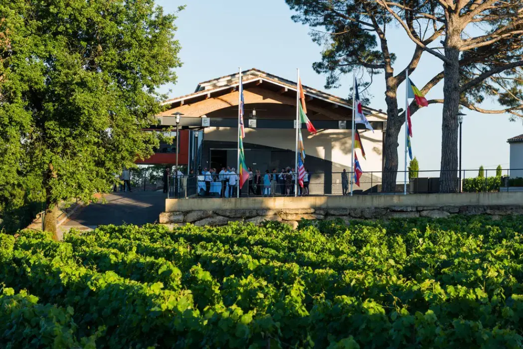Château La Croizille 3