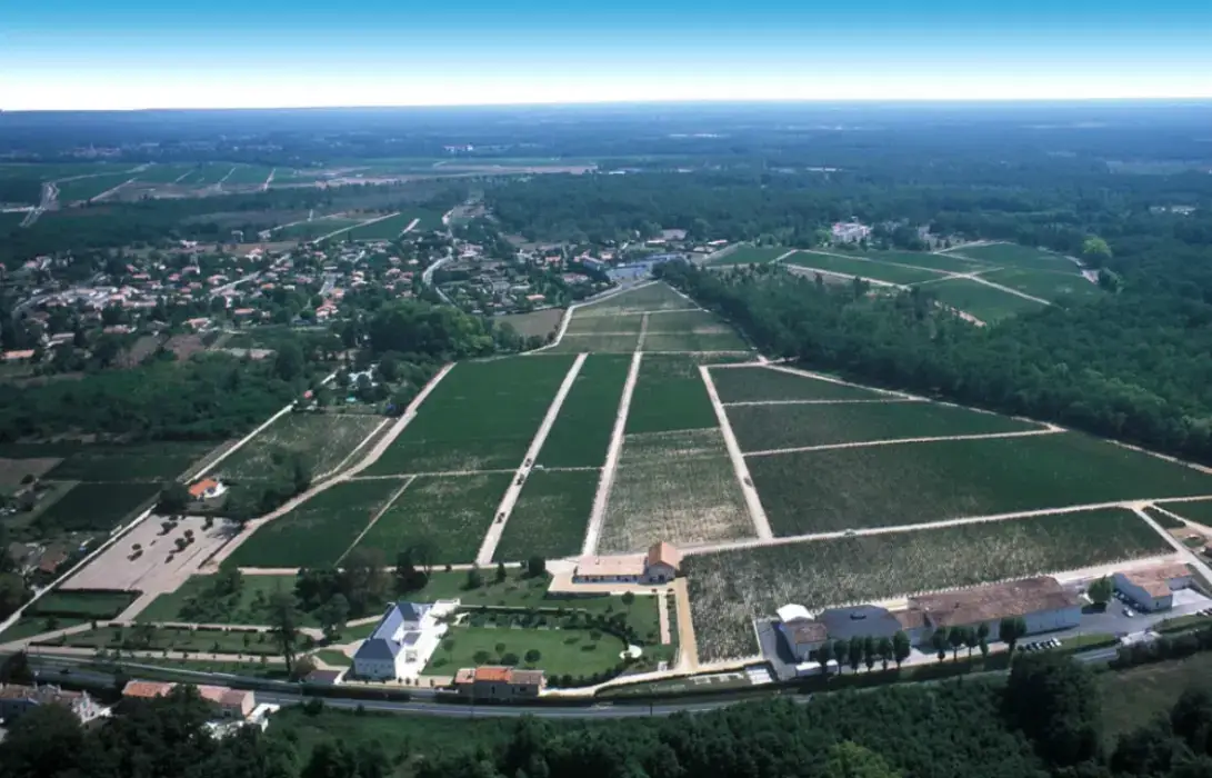 Château Malartic-Lagravière 5