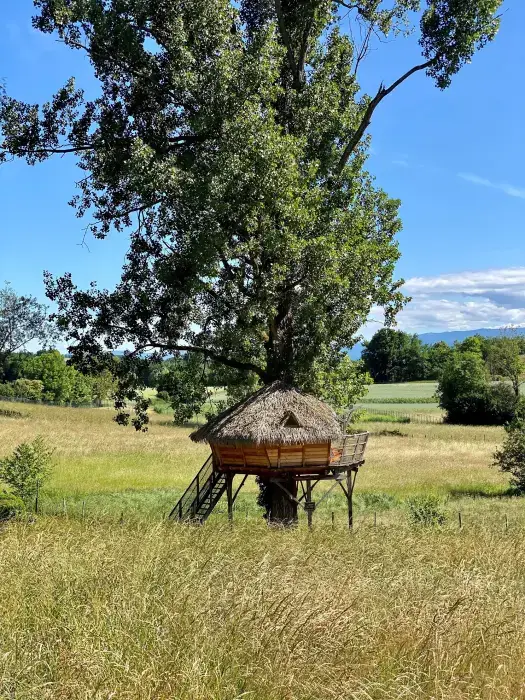 Domaine de Suzel 15