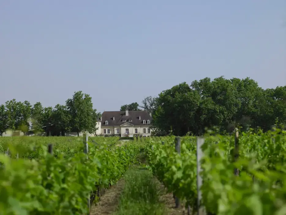 Château Bouscaut 3