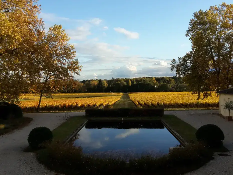 Château Bouscaut 5