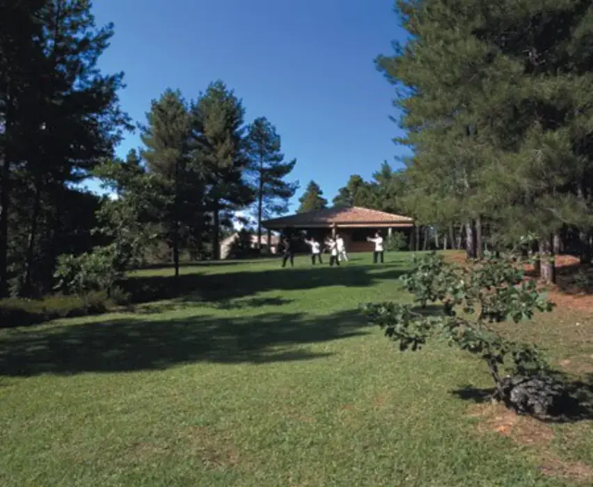 Domaine du Taille 5
