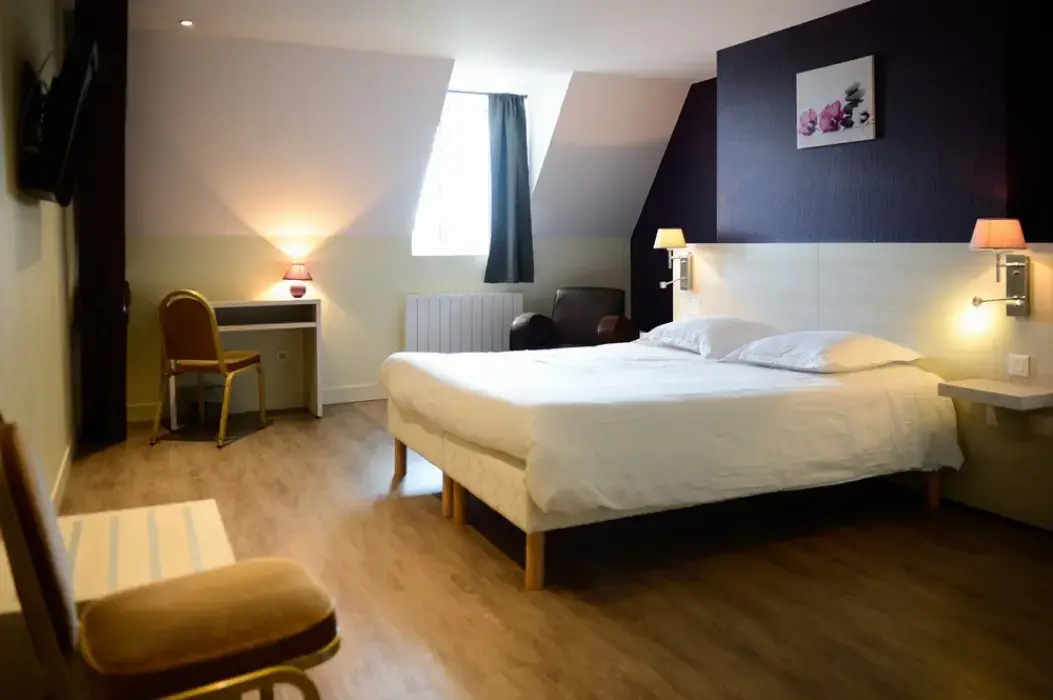 Brit Hotel du Dauphin 15