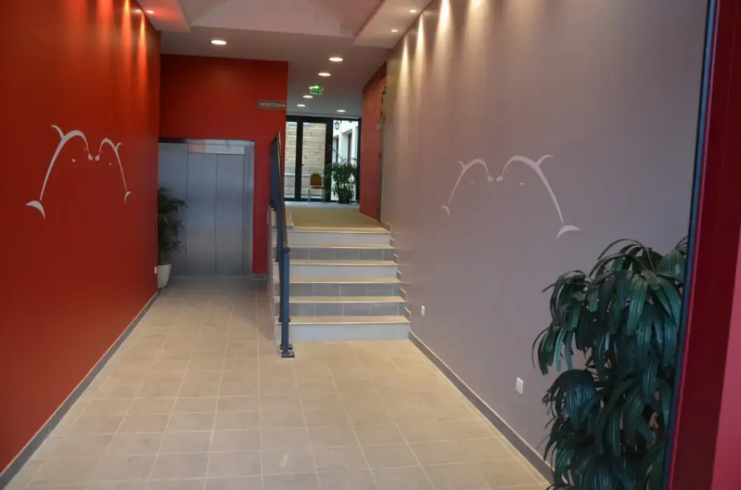 Brit Hotel du Dauphin 29