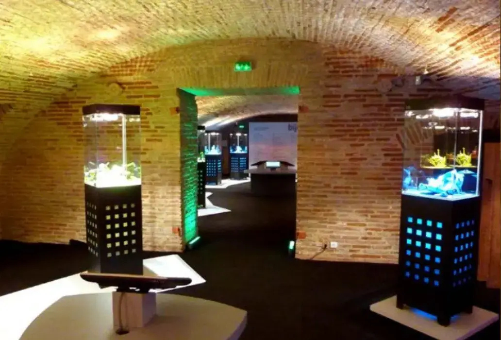 Fondation Bemberg 4