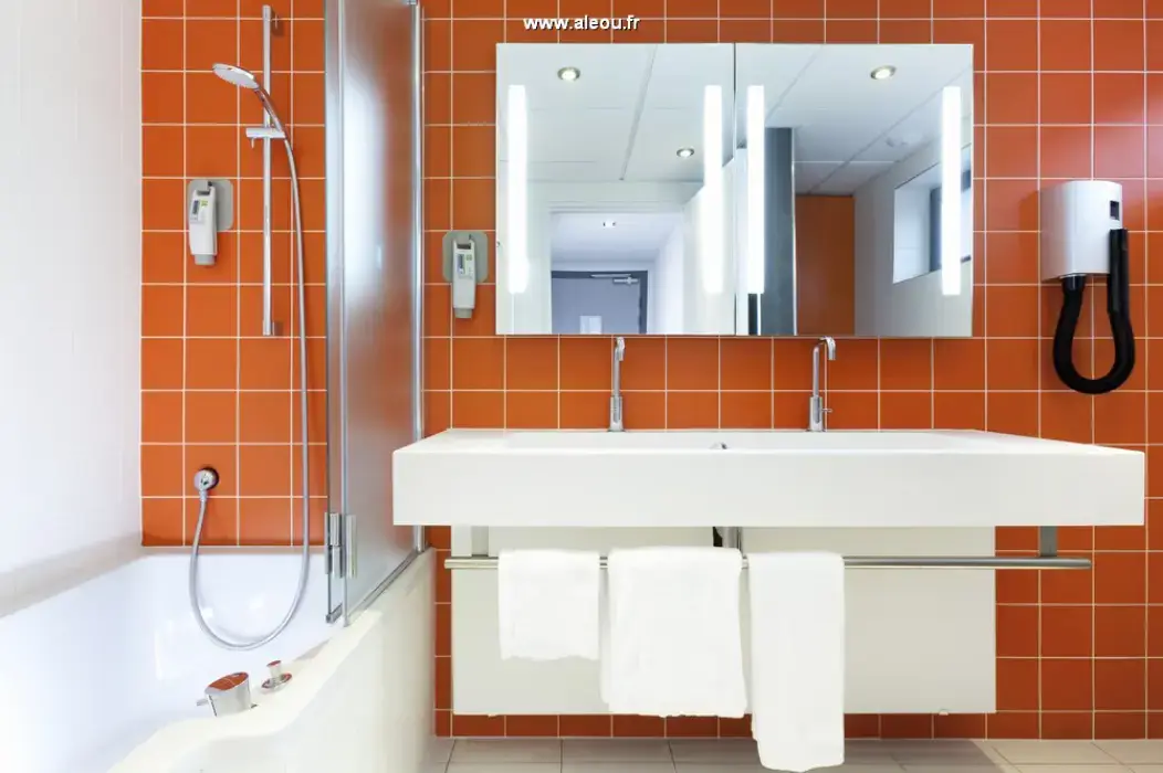 Ibis Styles Paris Porte d'Orléans 6