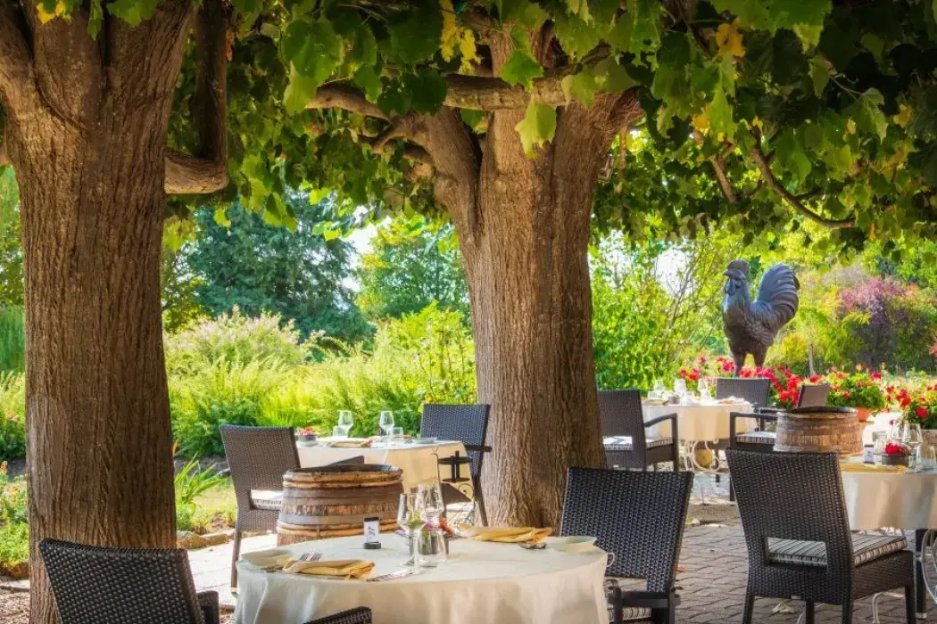 Le Coq Hardi 4