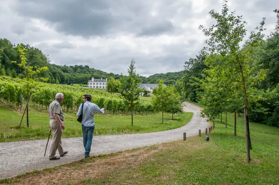 Domaine du Cinquau 5
