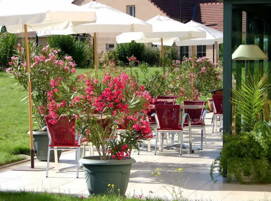 Brit Hotel Châteaudun 12