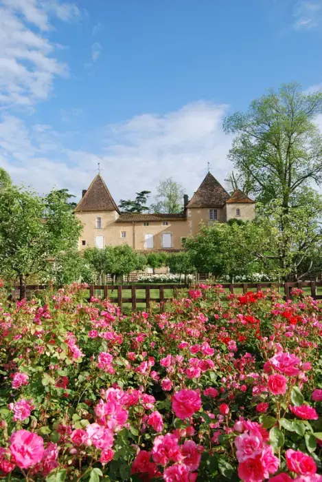 Château Carbonnieux 6
