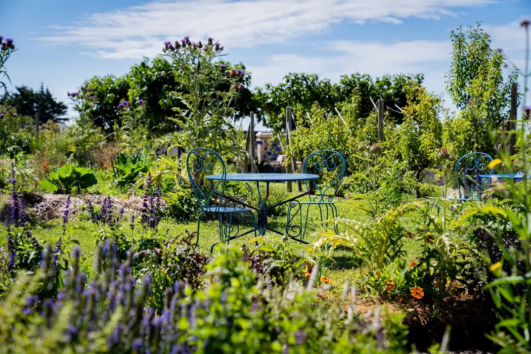 Eco-Domaine La Fontaine 7