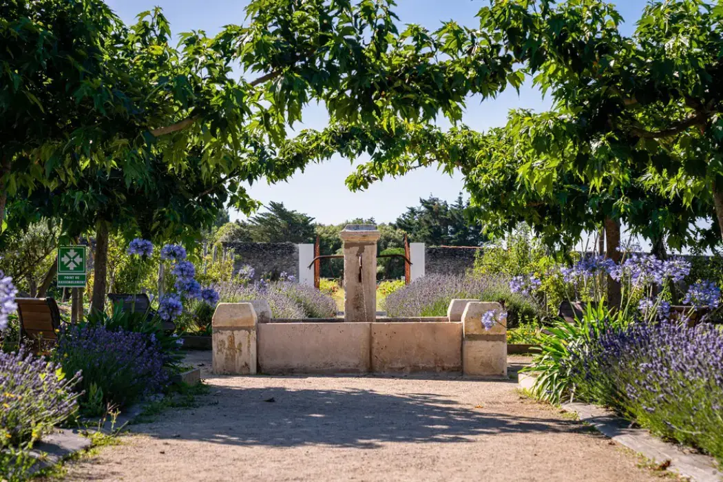 Eco-Domaine La Fontaine 8