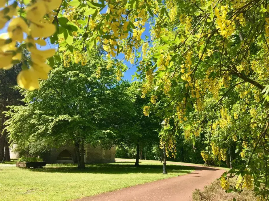Château des Forgets 7