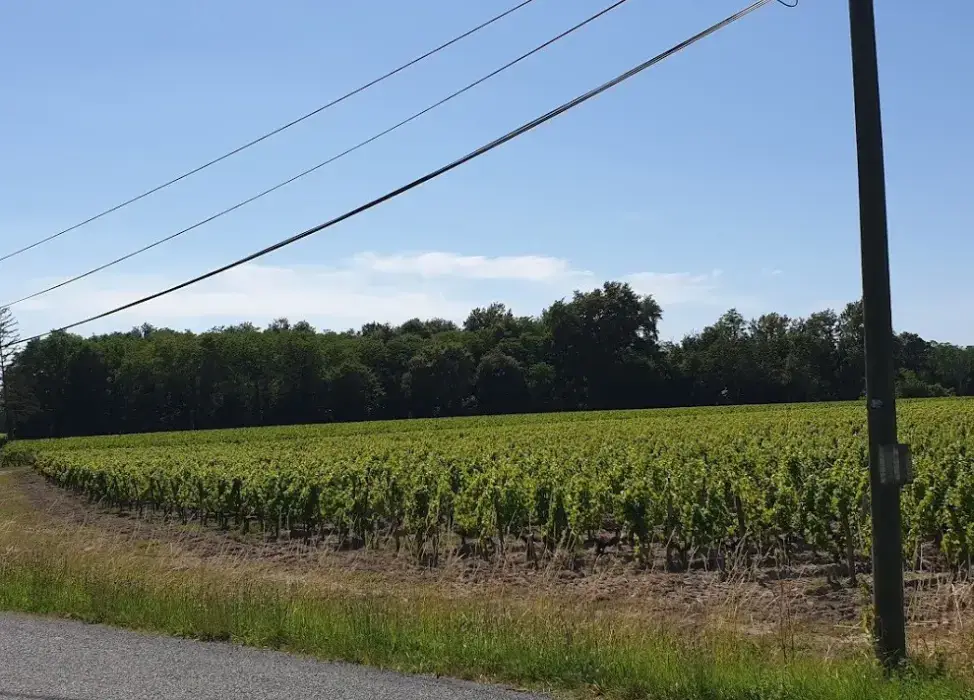 Domaine de la Solitude 4