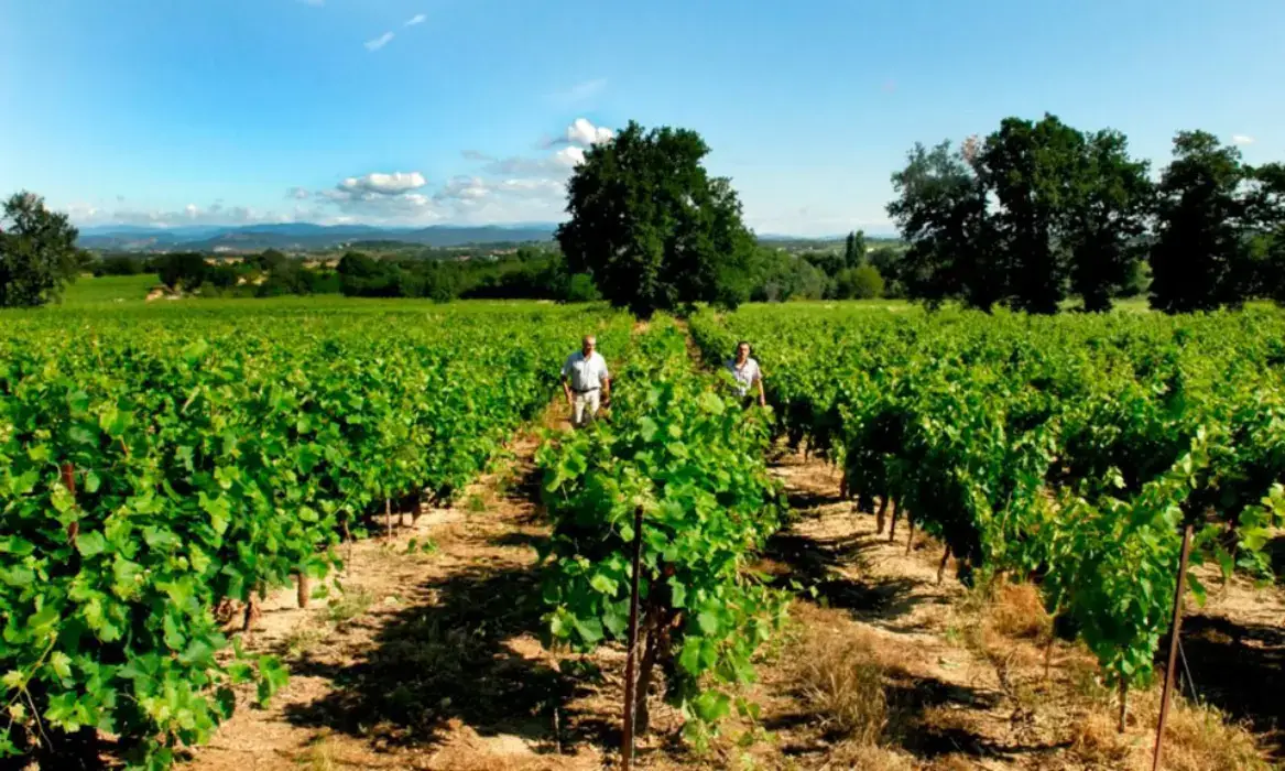 Domaine Grand-Chemin 2