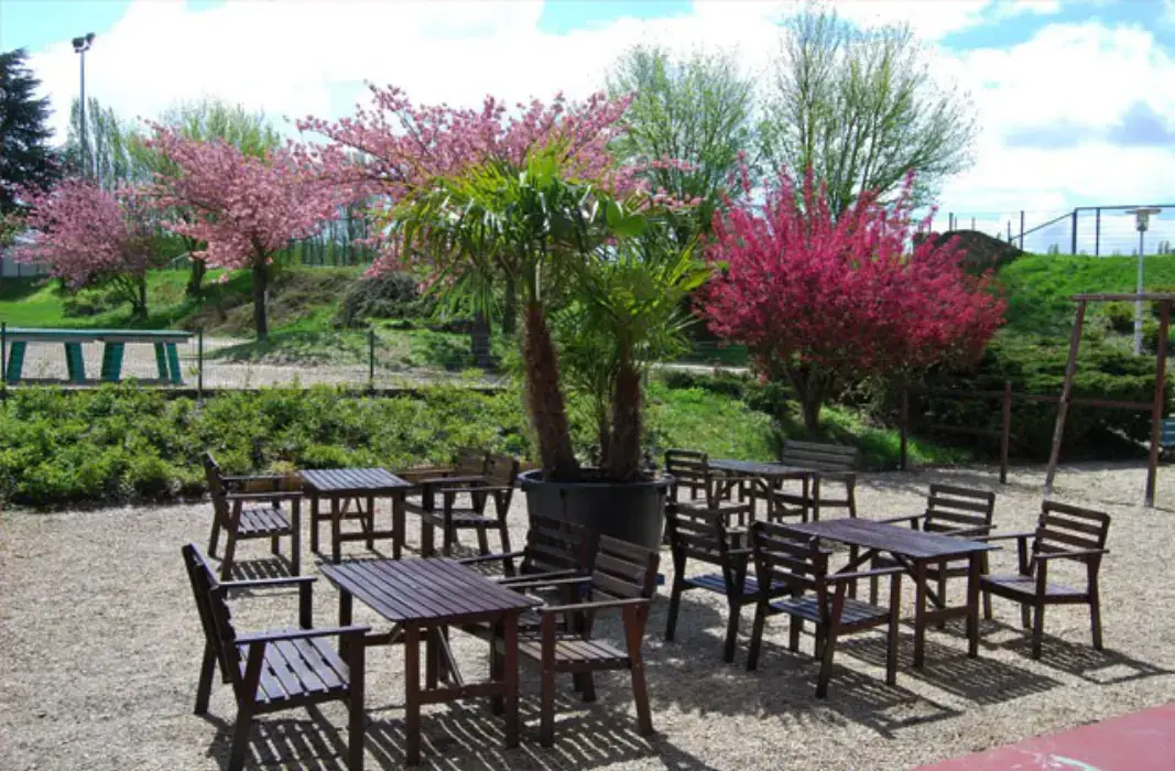 Le Bois d'Auteuil Clerence Restauration 2