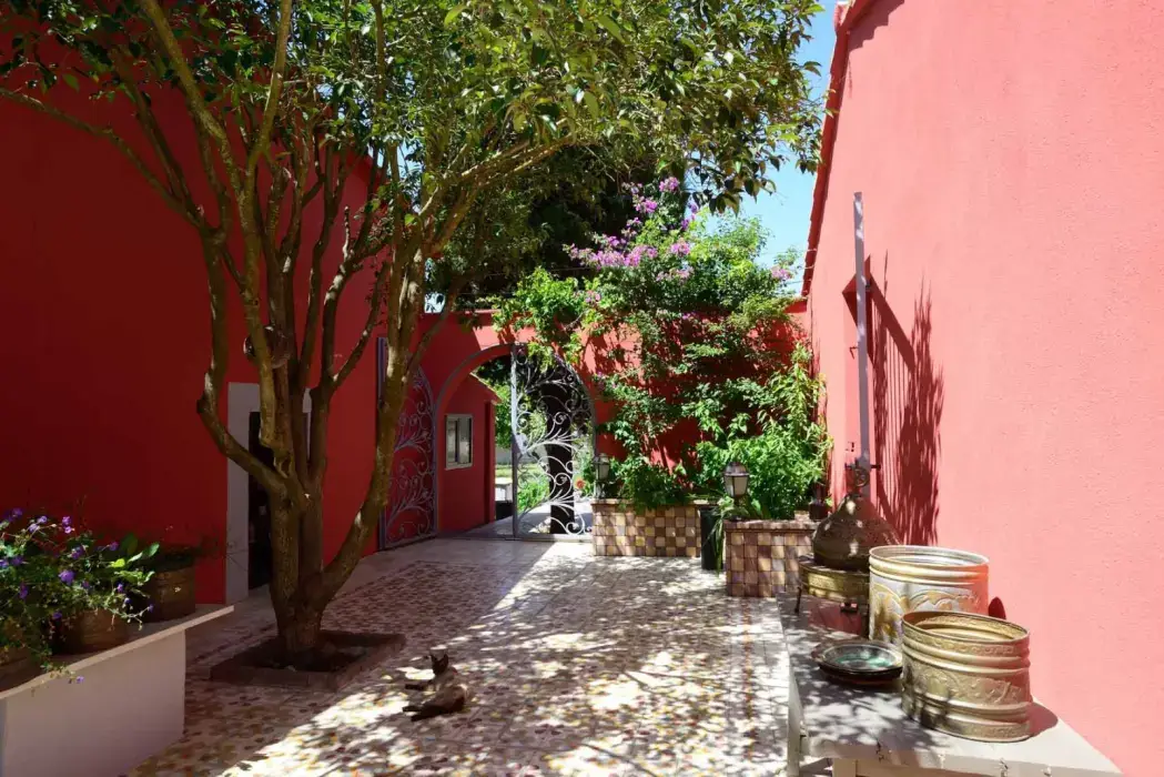 Mas de Montille 3