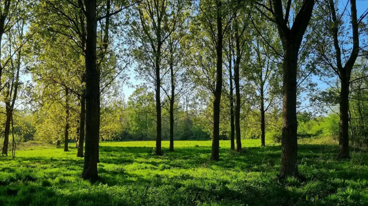 Domaine de Wolphus 8
