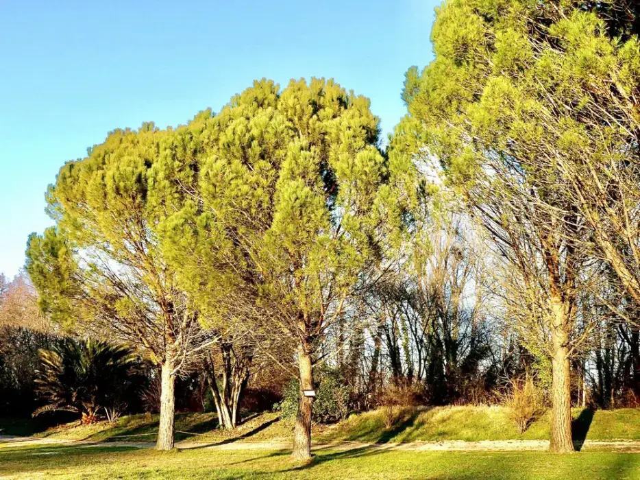 Domaine la Roque 23