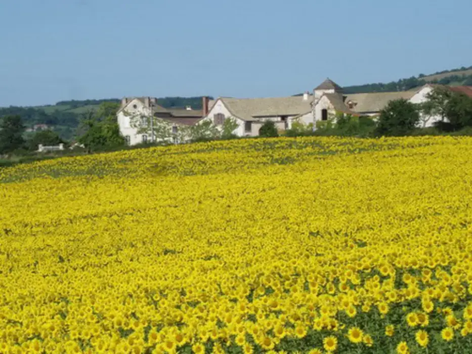 Domaine de Morlay 3