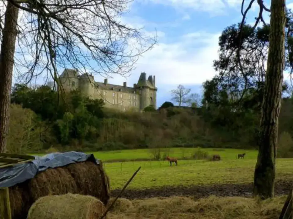 Château de Montmuran 2