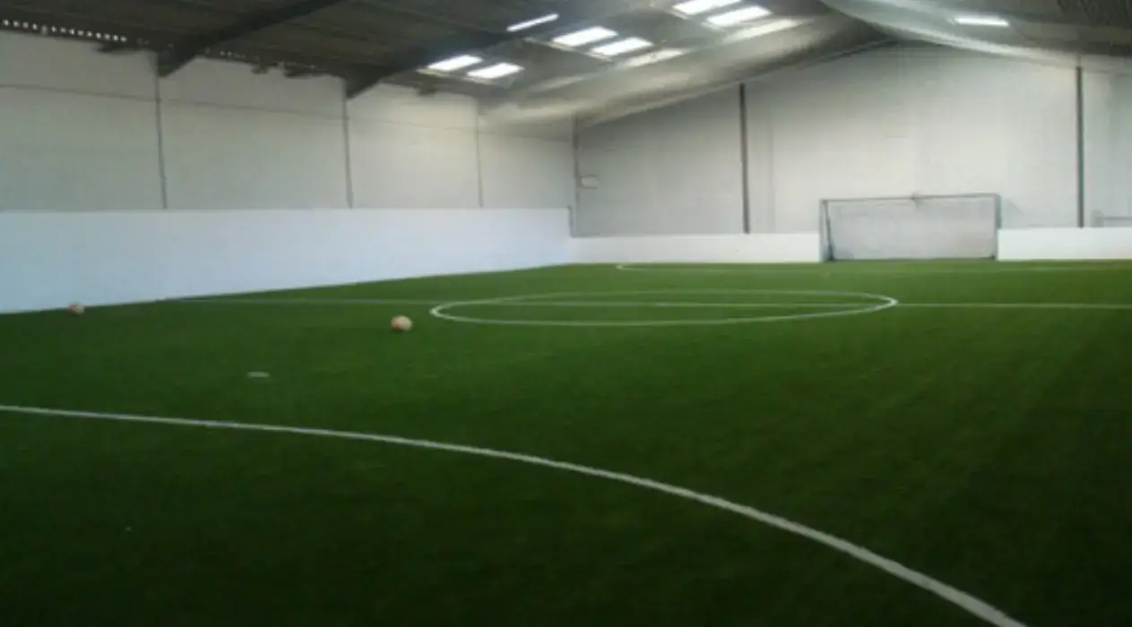 Goal In d'Or 2