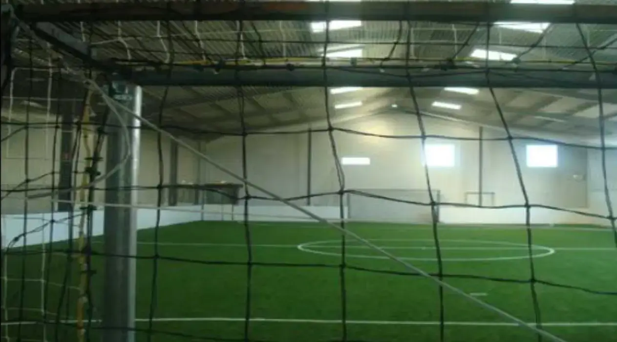 Goal In d'Or 11